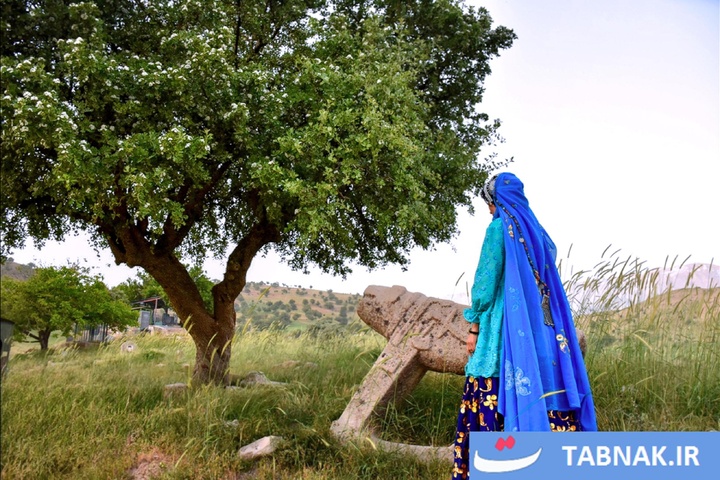 شیر سنگی؛ نگهبان جاودانه ایل بختیاری