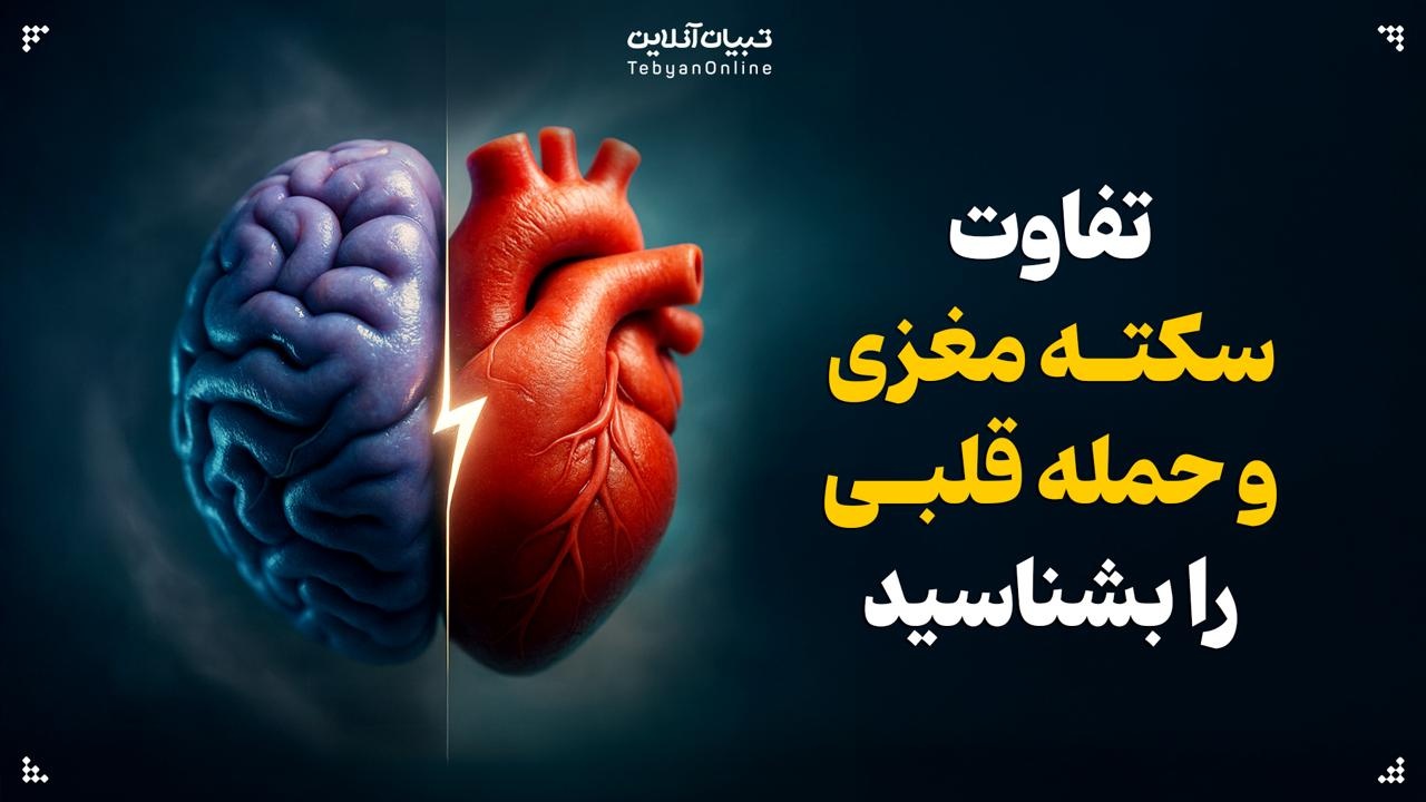 تفاوت سکته مغزی و حمله قلبی را بشناسید