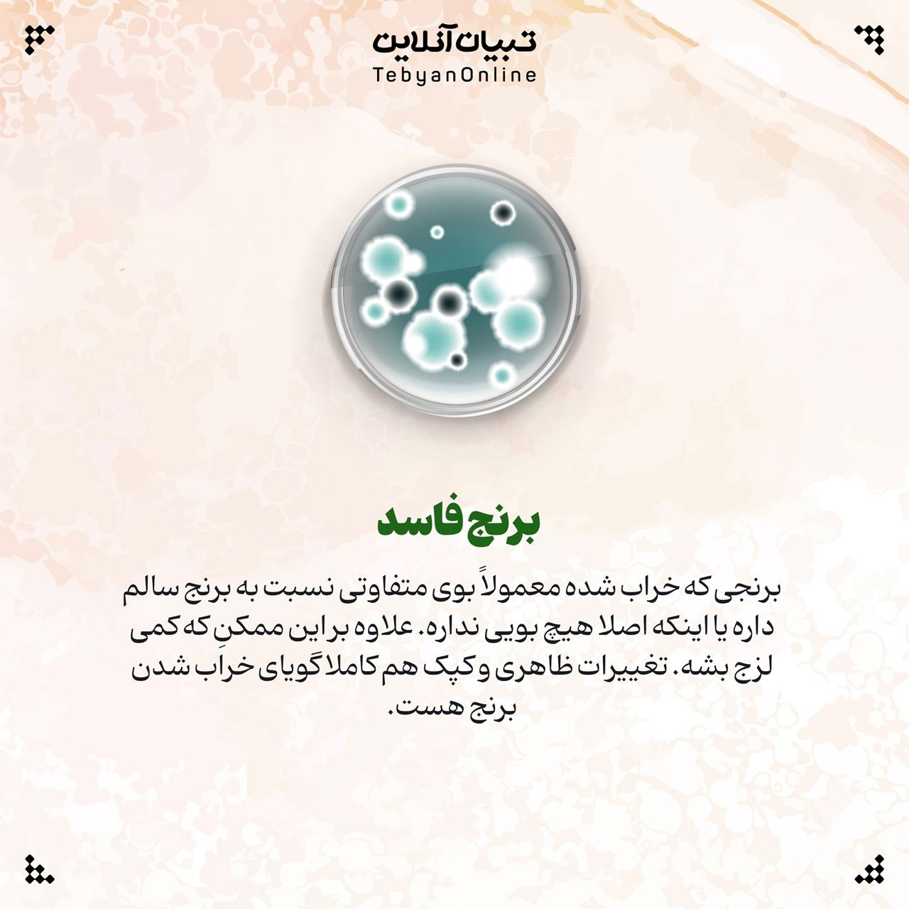 روشهای نگهداری برنج پخته