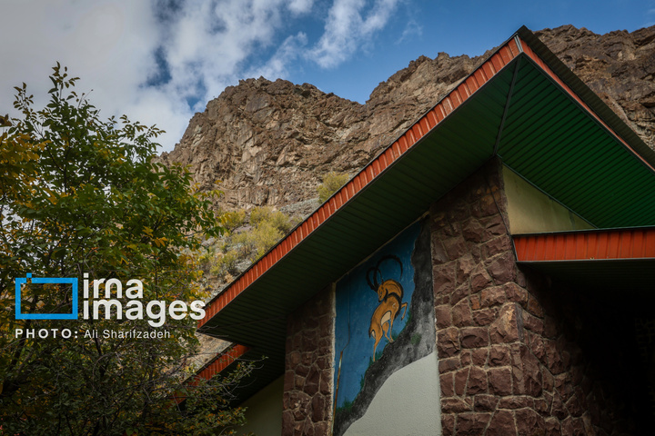 حفاظت بی‌وقفه