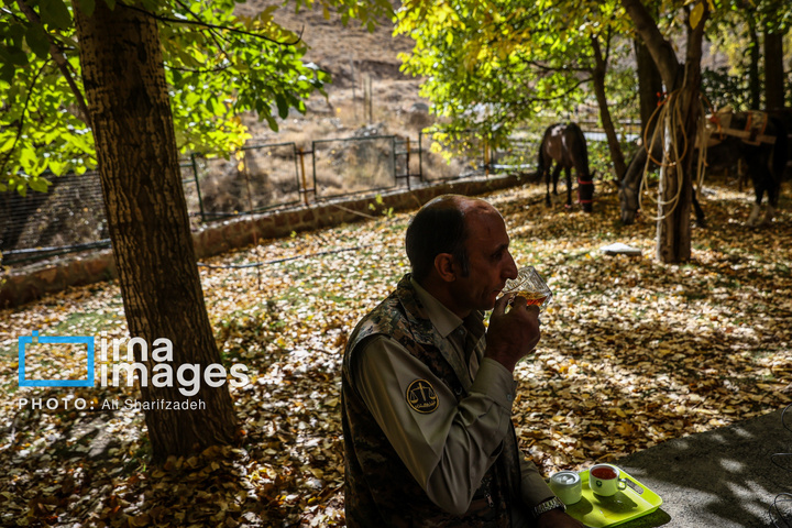 حفاظت بی‌وقفه