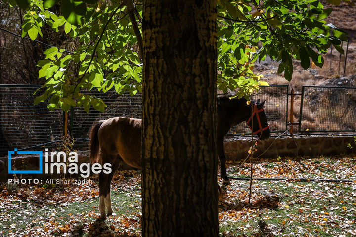 حفاظت بی‌وقفه