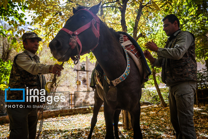 حفاظت بی‌وقفه