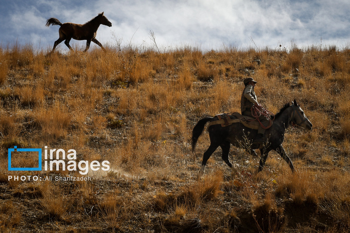 حفاظت بی‌وقفه