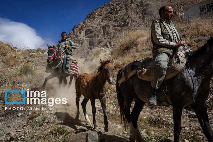 حفاظت بی‌وقفه