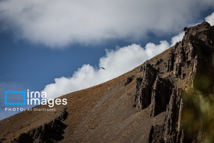 حفاظت بی‌وقفه