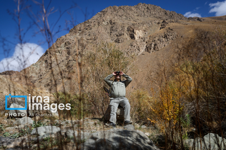 حفاظت بی‌وقفه