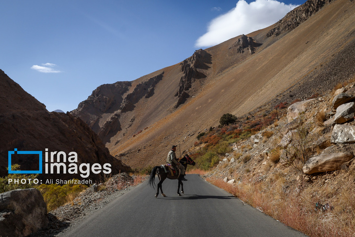 حفاظت بی‌وقفه