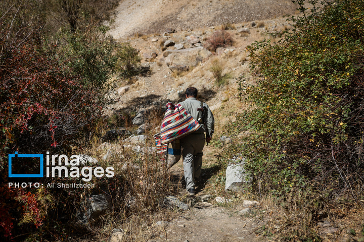 حفاظت بی‌وقفه