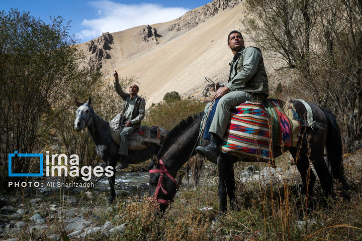 حفاظت بی‌وقفه