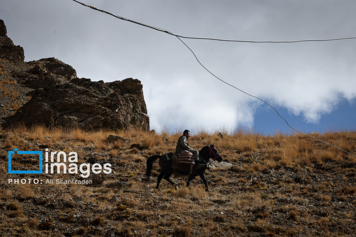 حفاظت بی‌وقفه