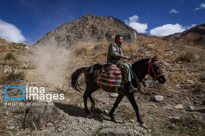 حفاظت بی‌وقفه