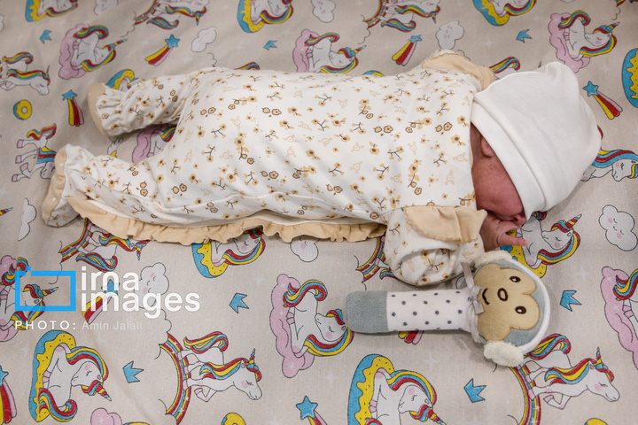 شیرخوارگاه «شبیر»