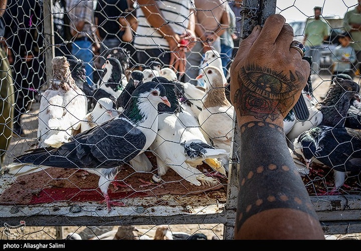 بازار پرنده‌فروشان بجنورد