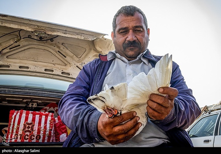 بازار پرنده‌فروشان بجنورد