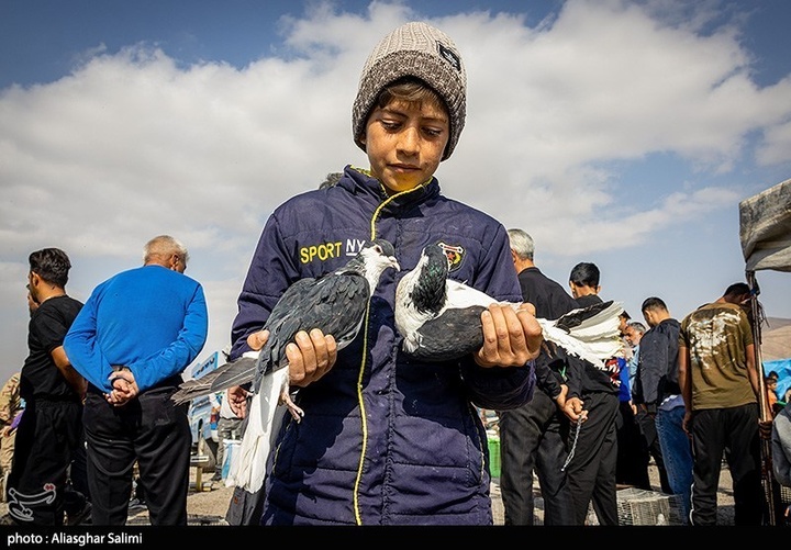 بازار پرنده‌فروشان بجنورد