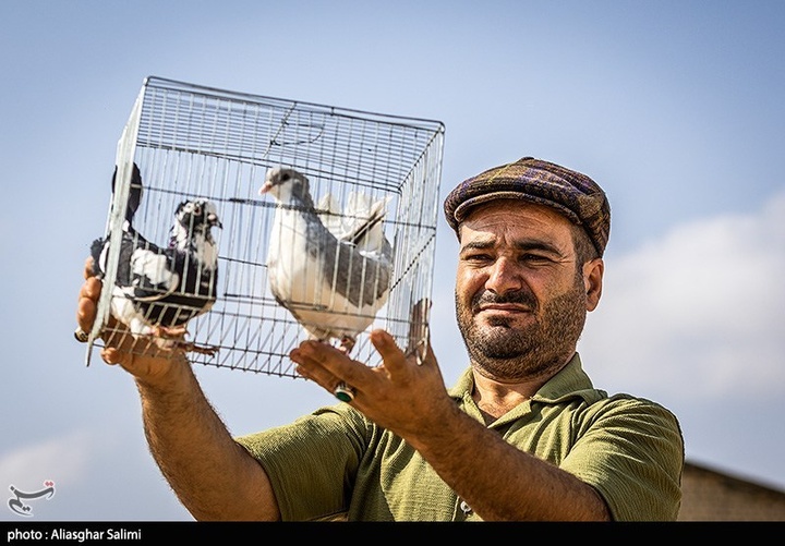 بازار پرنده‌فروشان بجنورد
