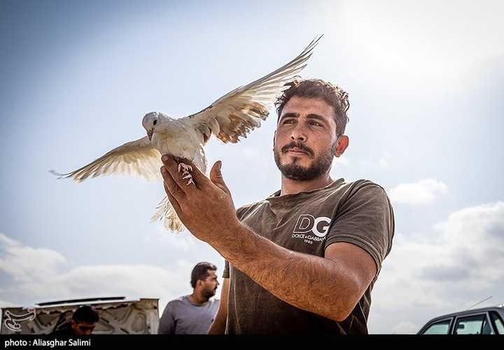 بازار پرنده‌فروشان بجنورد