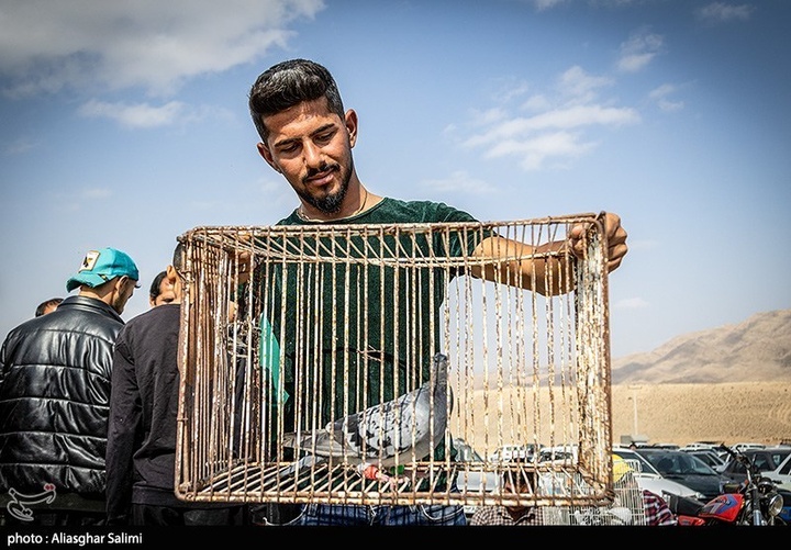 بازار پرنده‌فروشان بجنورد