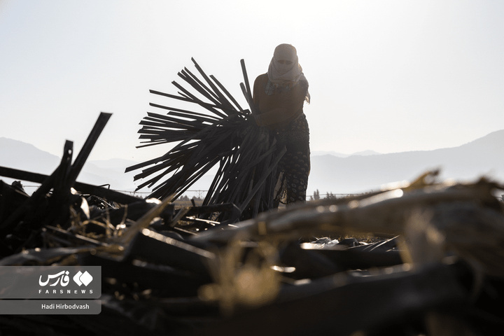 در مسیر سبز تولید و خودکفایی