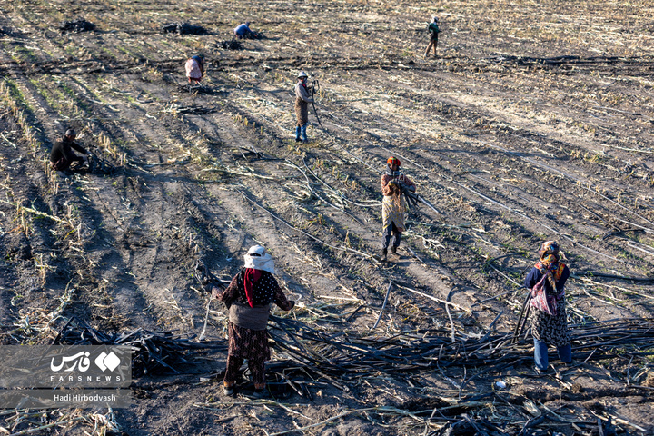 در مسیر سبز تولید و خودکفایی