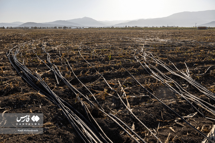 در مسیر سبز تولید و خودکفایی