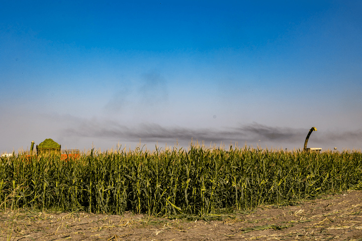 در مسیر سبز تولید و خودکفایی