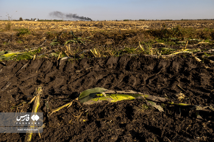 در مسیر سبز تولید و خودکفایی