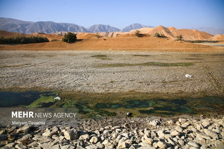 مرگ دست جمعی ماهی‌ها در سد عبدل آباد بجنورد