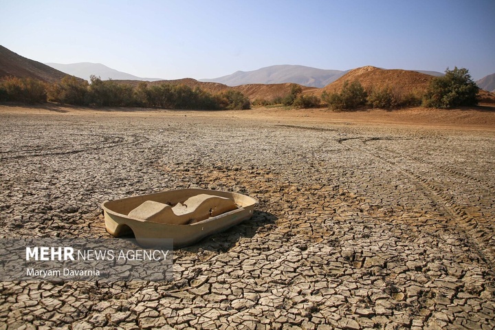 مرگ دست جمعی ماهی‌ها در سد عبدل آباد بجنورد