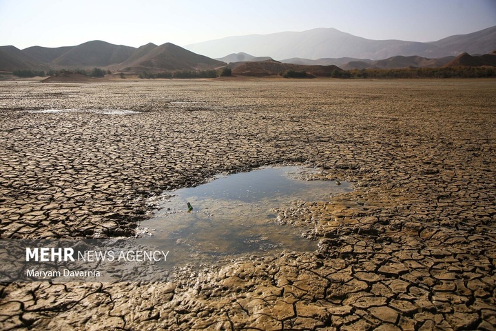 مرگ دست جمعی ماهی‌ها در سد عبدل آباد بجنورد
