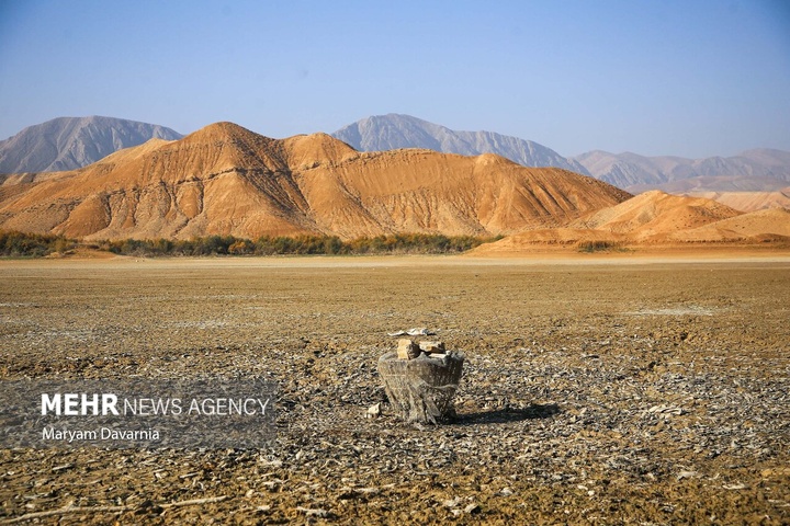 مرگ دست جمعی ماهی‌ها در سد عبدل آباد بجنورد