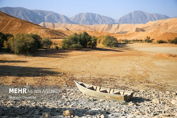 مرگ دست جمعی ماهی‌ها در سد عبدل آباد بجنورد