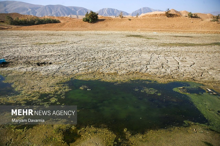 مرگ دست جمعی ماهی‌ها در سد عبدل آباد بجنورد