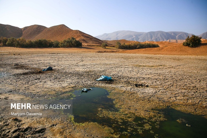 مرگ دست جمعی ماهی‌ها در سد عبدل آباد بجنورد