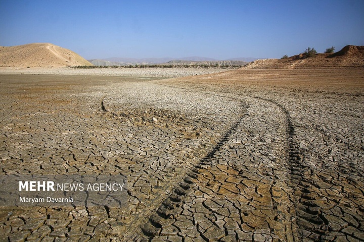 مرگ دست جمعی ماهی‌ها در سد عبدل آباد بجنورد