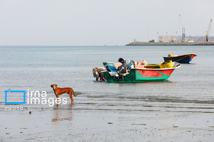 «چابهار» رنگ، فرهنگ و زندگی