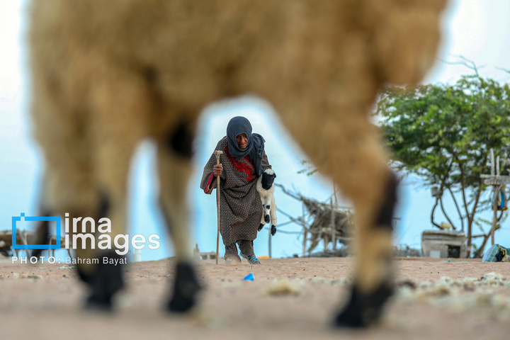 «چابهار» رنگ، فرهنگ و زندگی