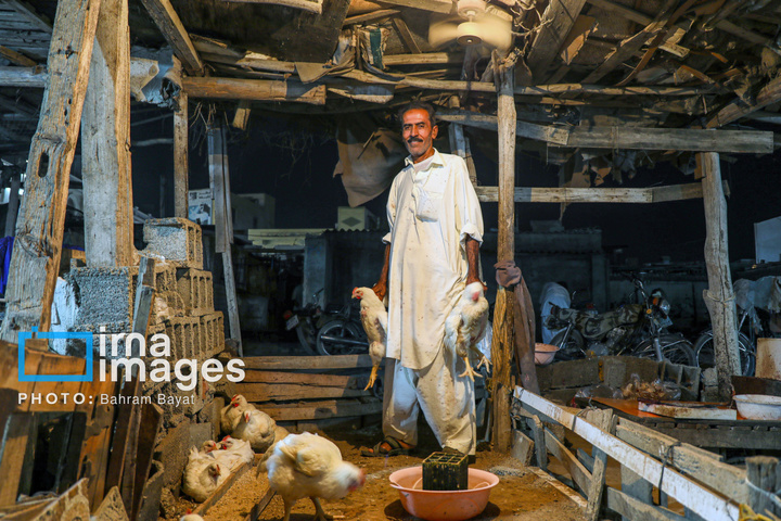 «چابهار» رنگ، فرهنگ و زندگی