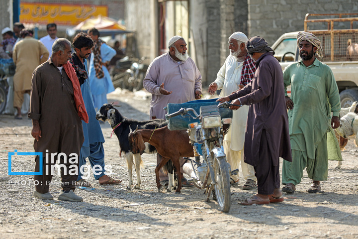 «چابهار» رنگ، فرهنگ و زندگی