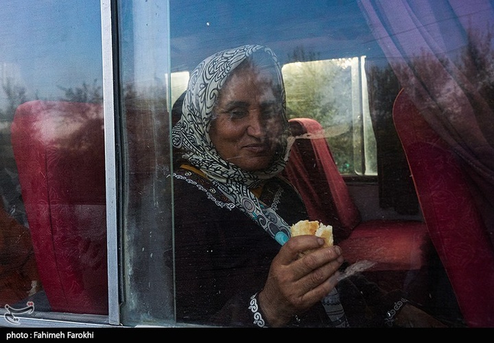 رفع محرومیت با تولید ملی / برداشت زیتون از باغات علی آبادکتول