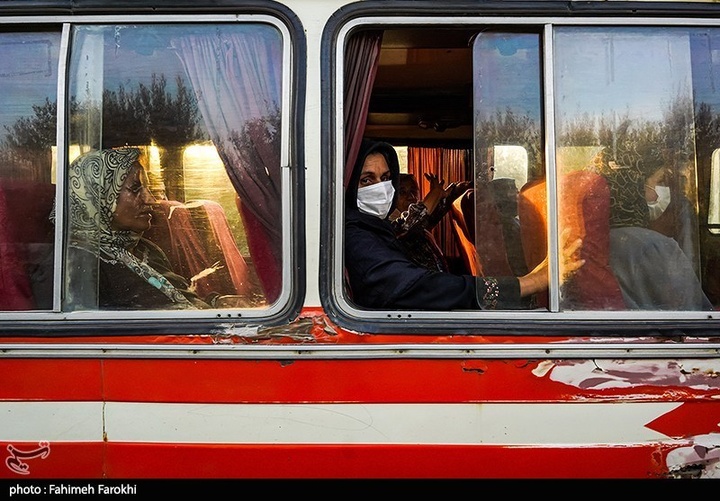 رفع محرومیت با تولید ملی / برداشت زیتون از باغات علی آبادکتول