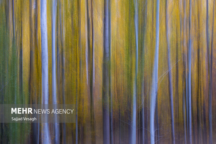 خزان هزار رنگ همدان