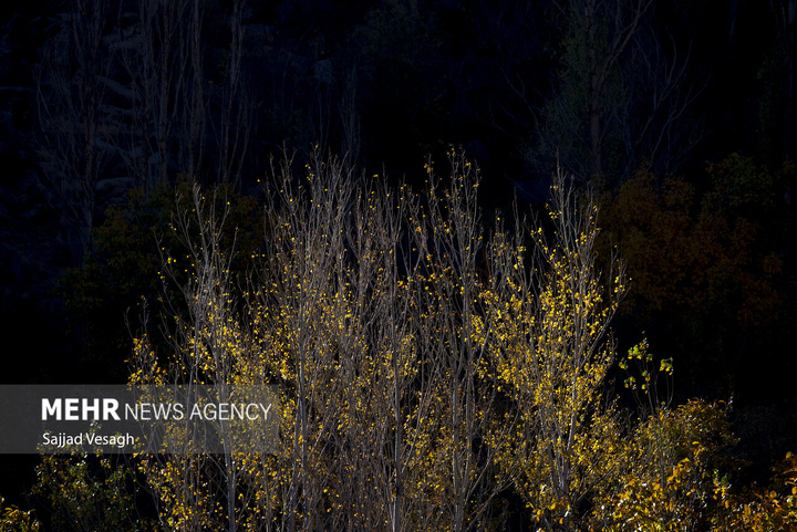 خزان هزار رنگ همدان