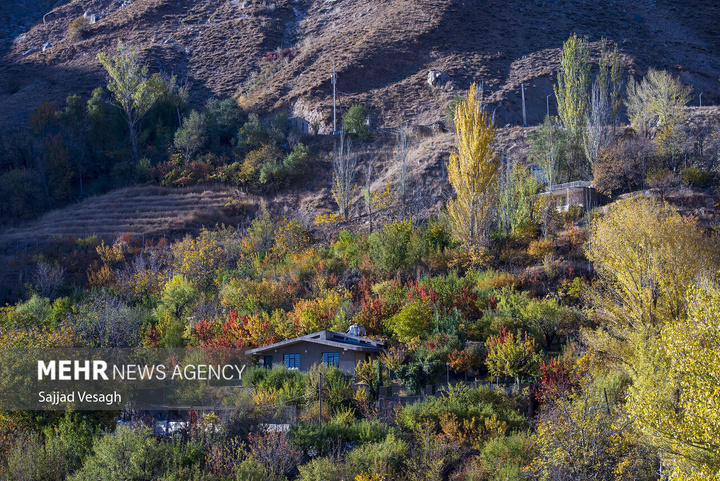 خزان هزار رنگ همدان
