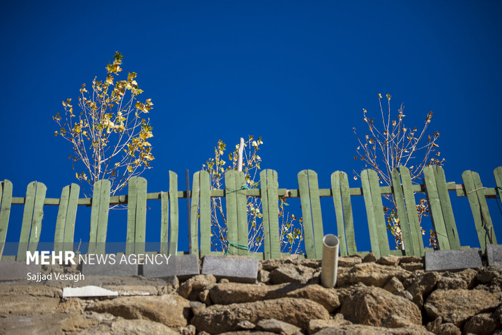 خزان هزار رنگ همدان