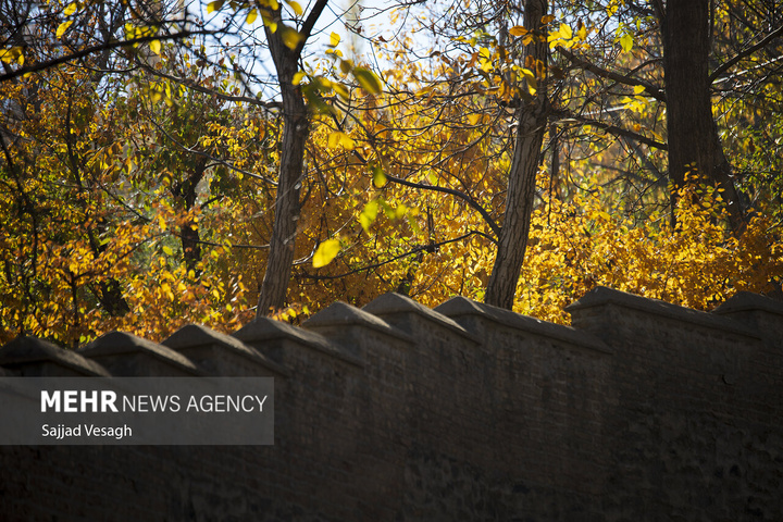 خزان هزار رنگ همدان