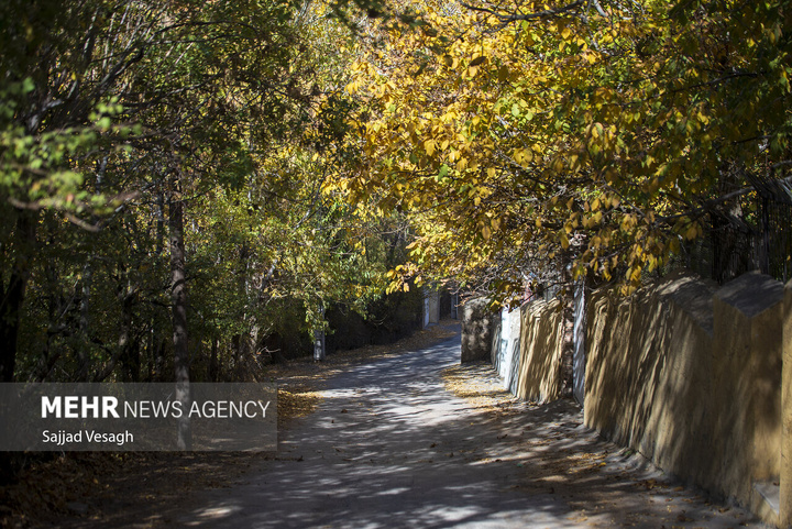 خزان هزار رنگ همدان