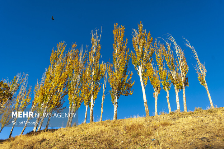 خزان هزار رنگ همدان