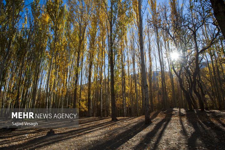 خزان هزار رنگ همدان